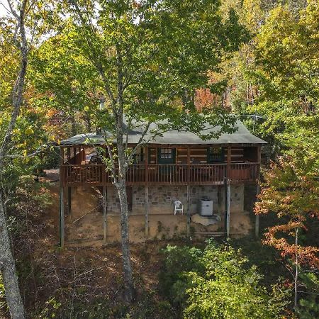 View! Cozy, Private, Fireplace, Hot Tub Log Cabin, Honeymoon! เซอเวียร์วีล ภายนอก รูปภาพ