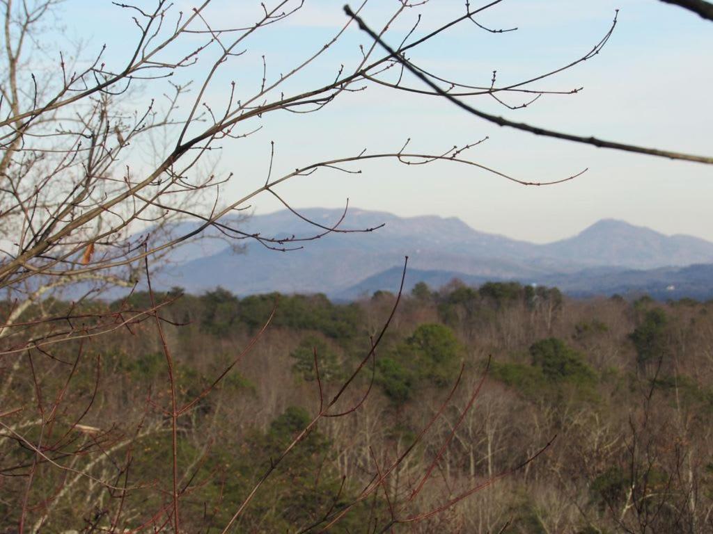 View! Cozy, Private, Fireplace, Hot Tub Log Cabin, Honeymoon! เซอเวียร์วีล ภายนอก รูปภาพ