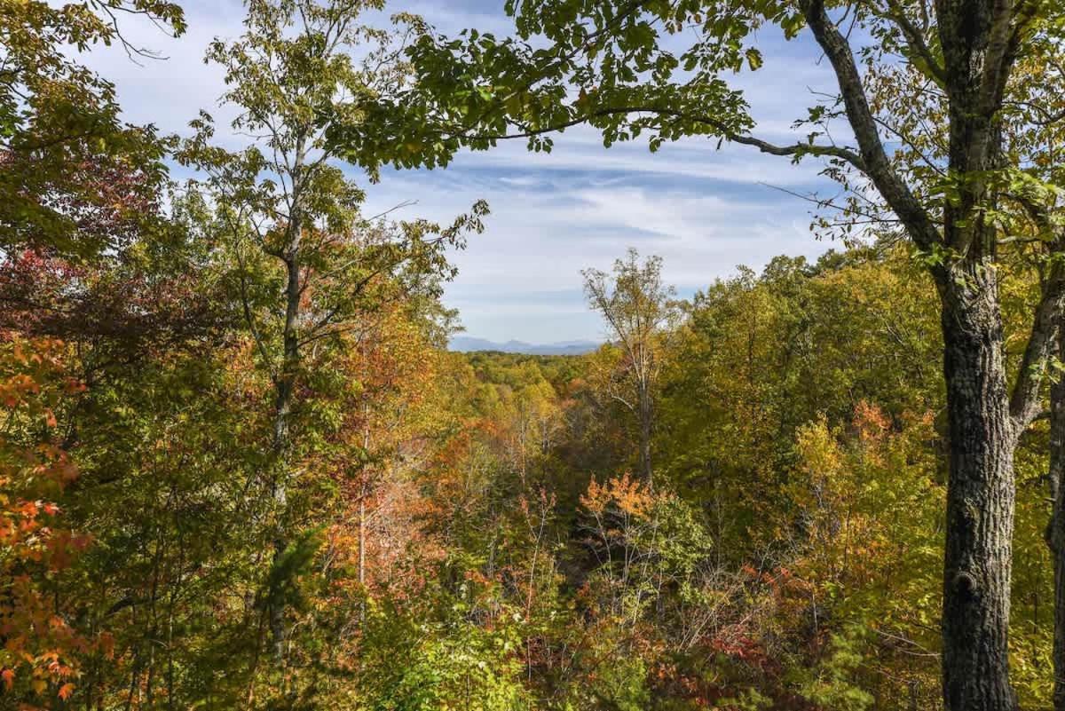 View! Cozy, Private, Fireplace, Hot Tub Log Cabin, Honeymoon! เซอเวียร์วีล ภายนอก รูปภาพ